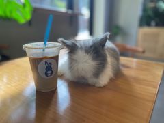 -小意思咖啡店(草桥店)