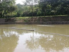 -天目湖松岭竹海漂流