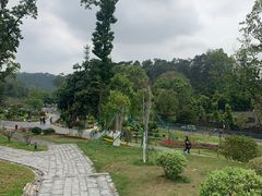 -东莞植物园