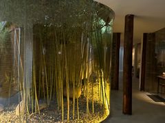 -曲廊院(东四十一条店)