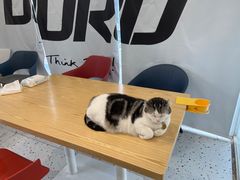 -泉乐坊步行街(烟酒特产平价超市店)