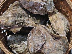 -蚝堡海鲜·威海菜·海肠捞饭·烧烤·亚洲吃蚝公司(幸福门店)