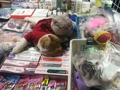 -吴山路夜市