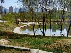 -雁滩公园
