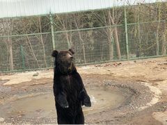 -五龙山野生动物王国