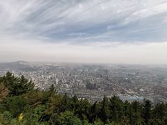 -兰山公园