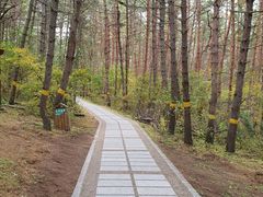 -帽儿山国家森林公园