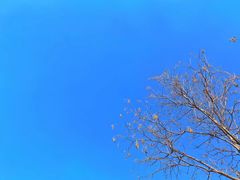 -亿利库布其七星湖沙漠生态旅游区