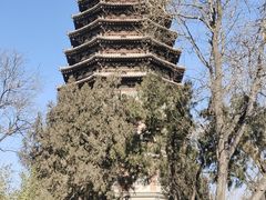 -天宁寺