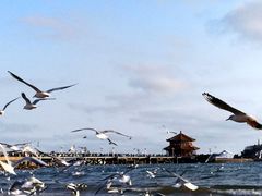 -栈桥海水浴场