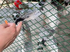 -水上乐园·欢乐世界