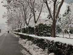 -吾悦广场(渭南店)