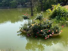 -人民公园(罗湖区)