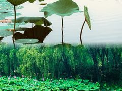 -东郊湿地公园