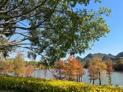 -南宁花花大世界景区