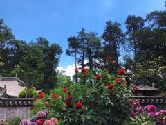 -苍山感通索道