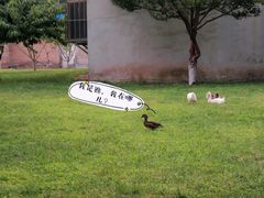 -春风习习