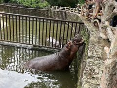 -海南热带野生动植物园