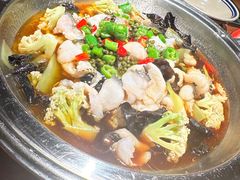 青椒鱼-泥糊破店小酒馆·团建聚餐(南京西路店)