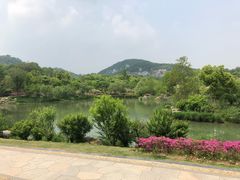 -镇江市南山风景名胜区竹林景区