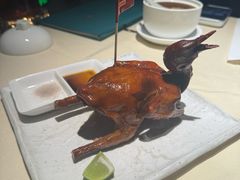 -侨美食家·粤菜(体育西路店)