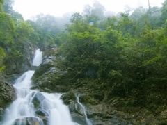 -九龙江国家森林公园