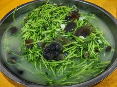 上汤豆苗-蚝专家(北滘店)