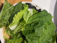 -滇铺子·云南特色菜·第九届野生菌美食节(东风东路c86店)