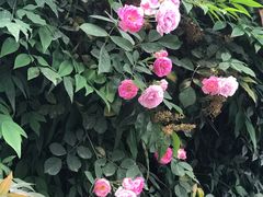 -金沙遗址博物馆