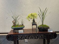 -上海醉白池公园