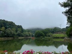 -广州市帽峰山景区