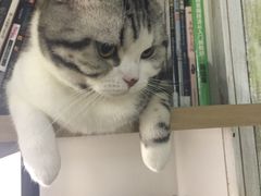 -小时光咖啡馆(开森度假森林店)