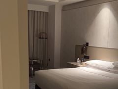 -上海漕河泾万丽酒店