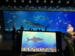 -烟台海昌鲸鲨海洋公园