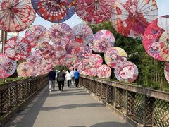 -赵州桥景区