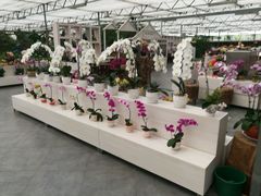 -兰陵国家农业公园