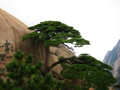 -黄山风景区