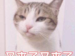 -深水井老冰粉(解放碑英利大融城店)