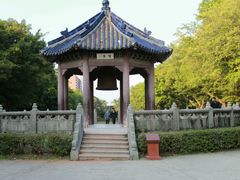 -中山大学学者灵芝(园南路店)
