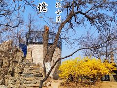 -桃花堤公园