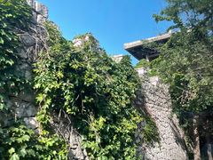 -原山国家森林公园