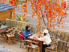 -田园印象·成都土菜院子(华阳店)