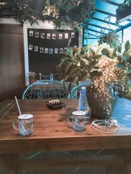 点击看大图 -金棕榈