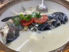 -全乐鱼馆·淳牌有机鱼直营店