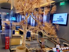 -苗品记茶馆(IFS国金中心店)