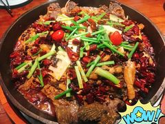 -老板恋上鱼(振华商厦店)