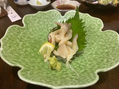 活北极贝刺身-加奈日本料理