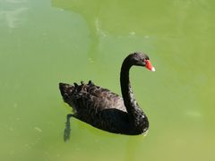 -蓬莱欧乐堡梦幻世界