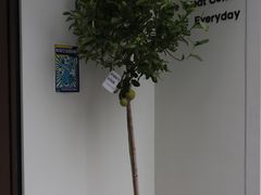 -fishtank鱼缸咖啡(三山街店)
