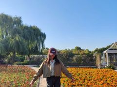 -石家庄市植物园
